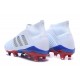 adidas Men's Predator 18+ FG Soccer Boots Russian Team White Silver