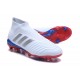 adidas Men's Predator 18+ FG Soccer Boots Russian Team White Silver